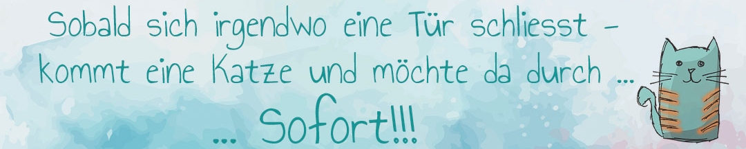 Spruch Katze